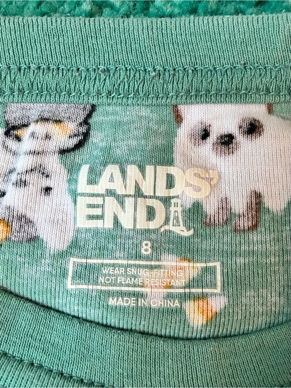 Lands’ End Snug Fit Halloween Pets PJ Set (Teal Shadow) Size 8